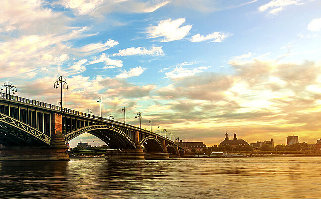 Blick auf Mainz die Brücke links im Bild, rechts die "skyline"