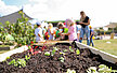 Foto von einem Hochbeet in einer Campus Kita in Mainz, im Hintergrund sind unscharf Kinder und eine Erzieherin zu sehen