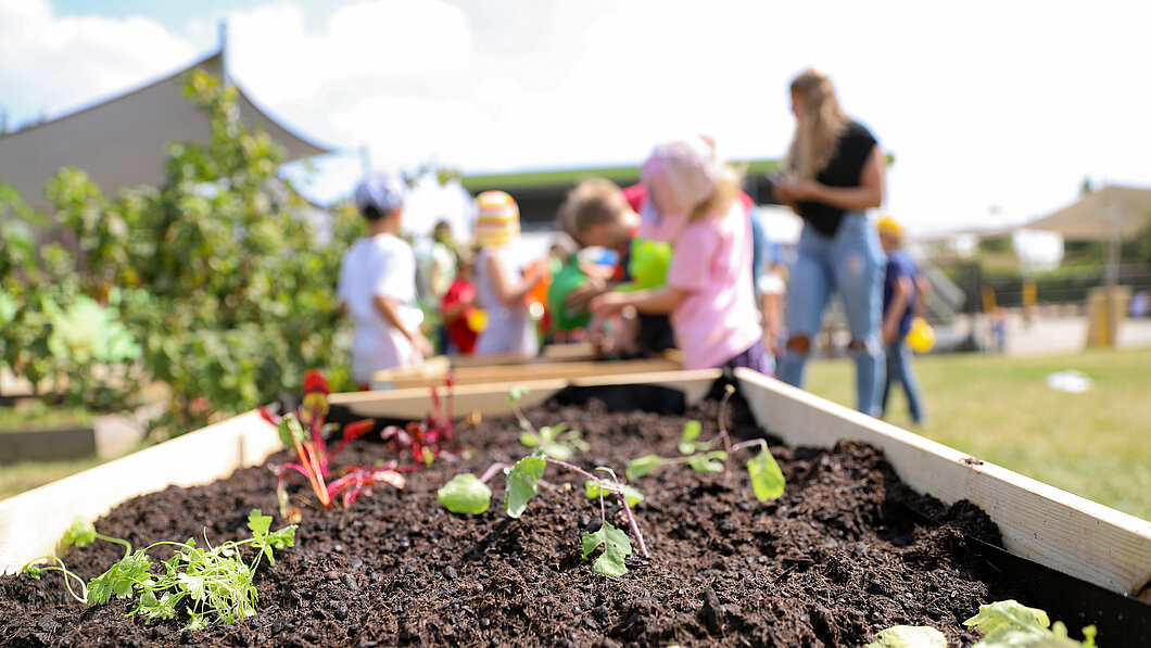 Foto von einem Hochbeet in einer Campus Kita in Mainz, im Hintergrund sind unscharf Kinder und eine Erzieherin zu sehen